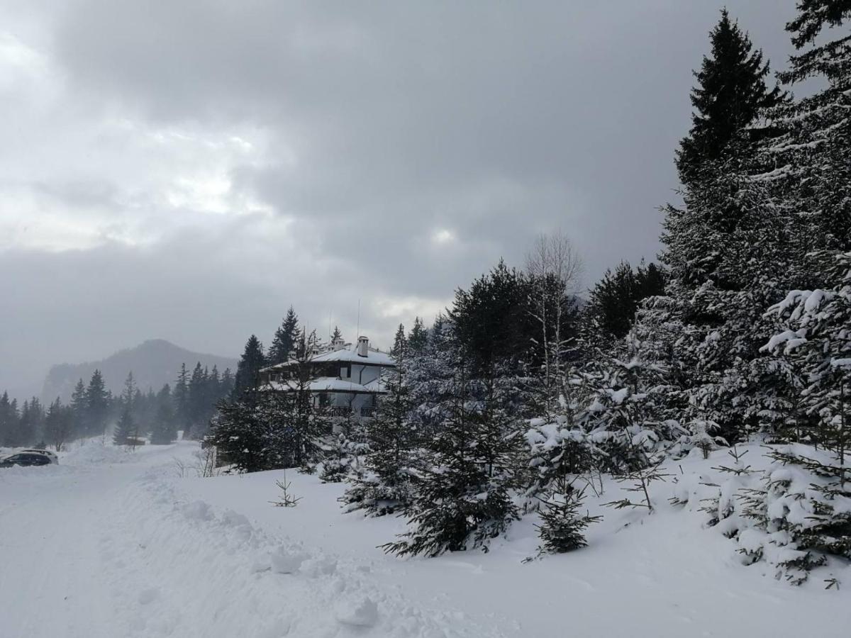 IV Apartment In The Wonderful Rhodope Mountain 스몰랸 외부 사진