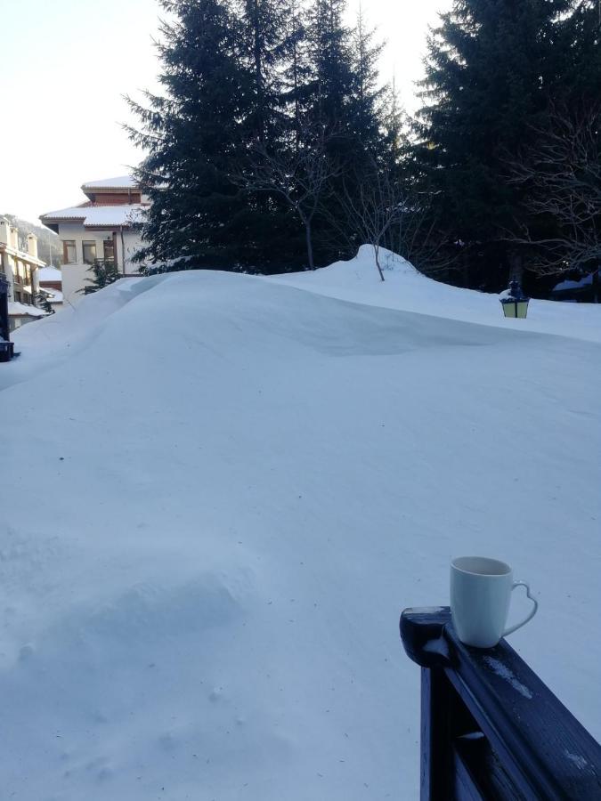 IV Apartment In The Wonderful Rhodope Mountain 스몰랸 외부 사진